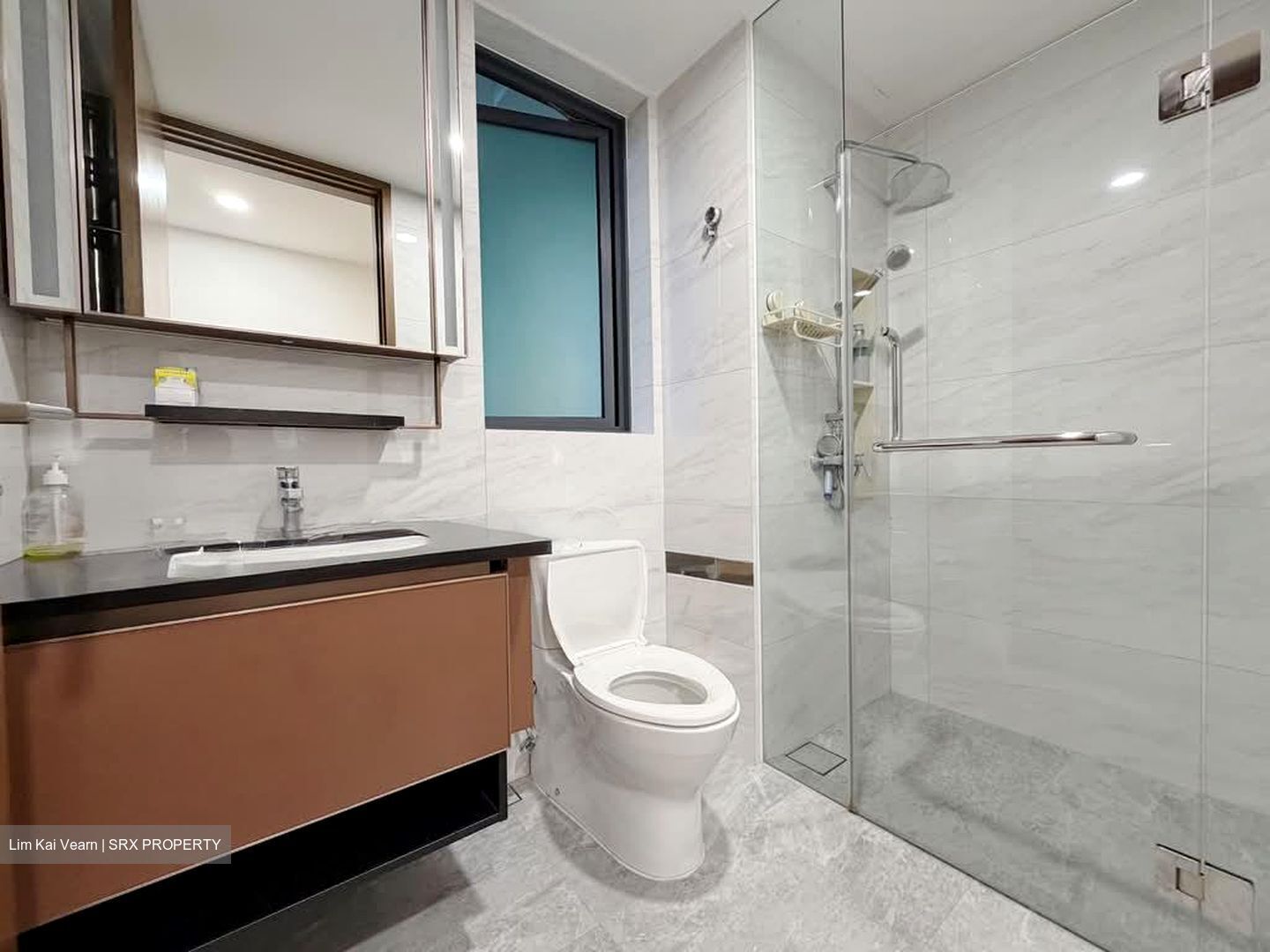 Normanton Park (D5), Apartment #573935981